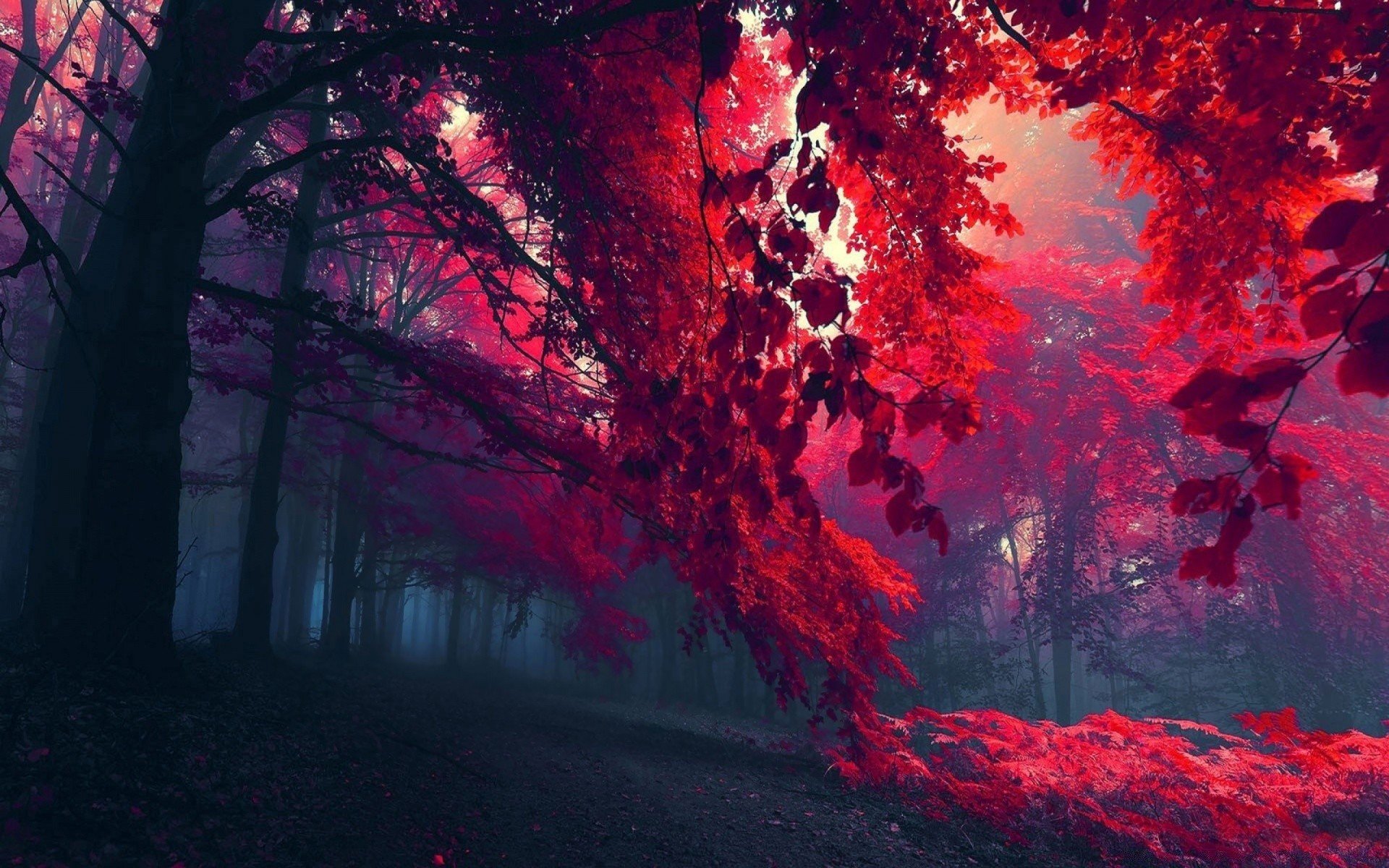 Красный лес Леа