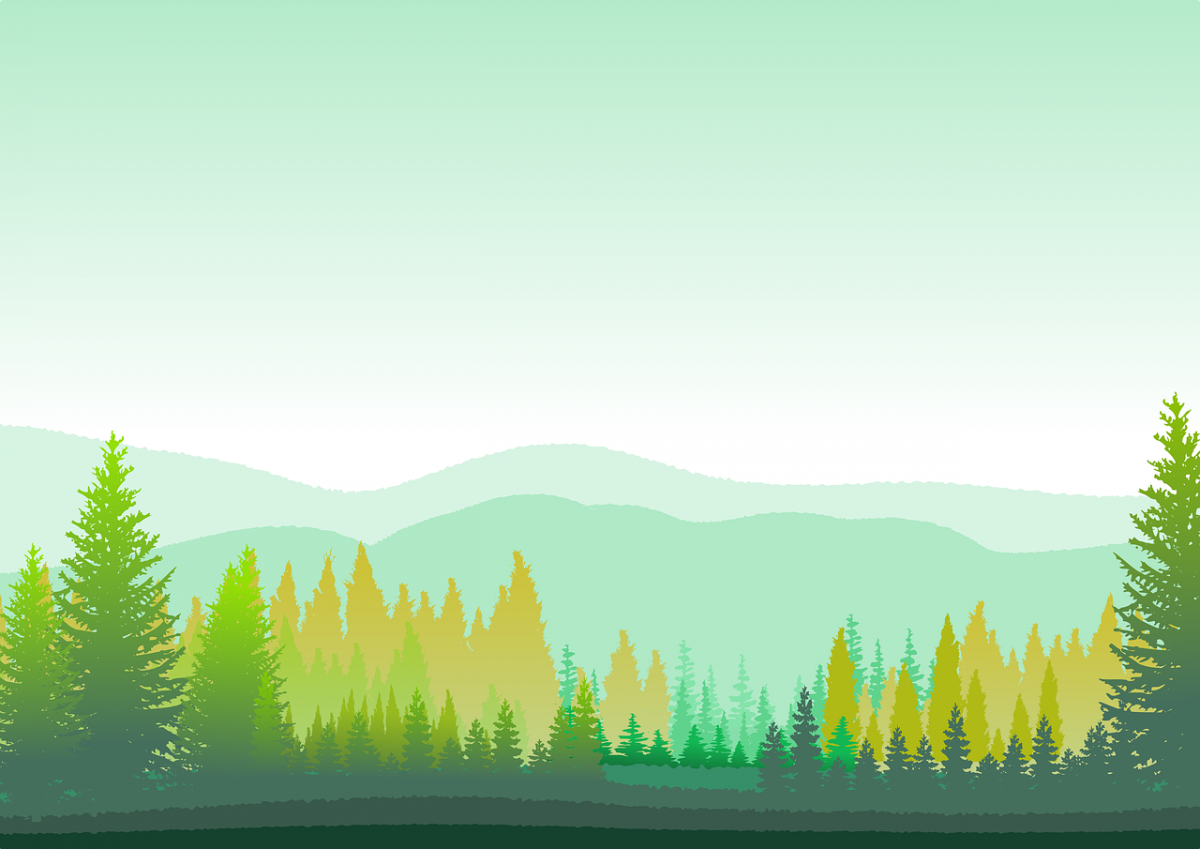 Фоновый рисунок лес (49 фото) » рисунки для срисовки на Газ-квас.ком