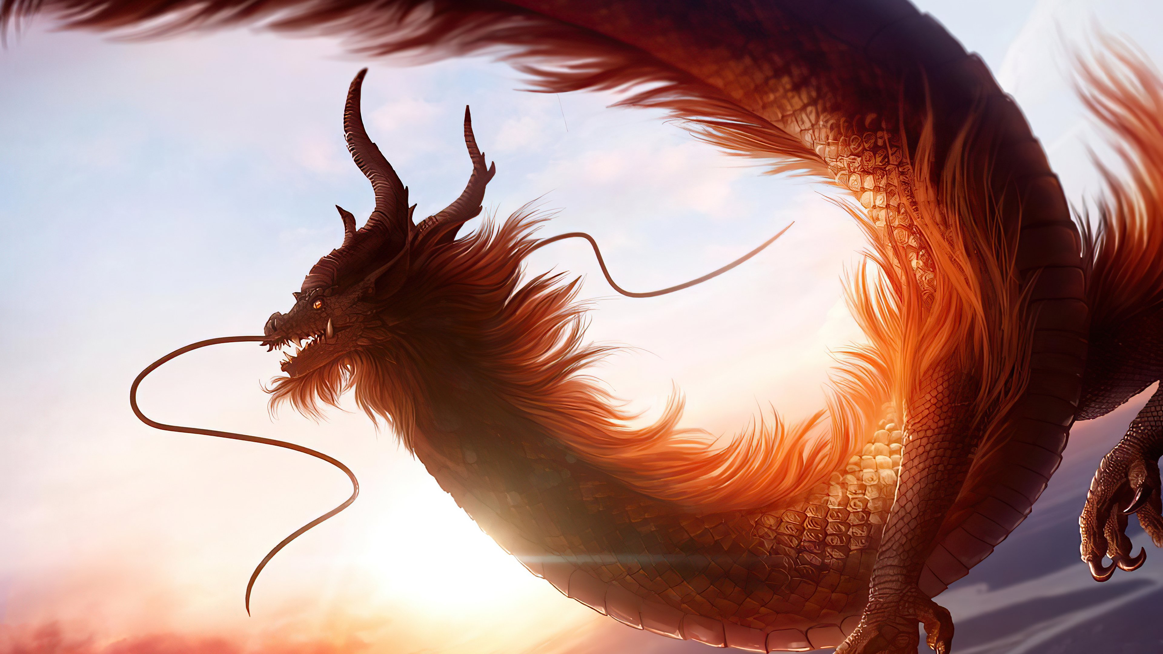 Китайский дракон 4к