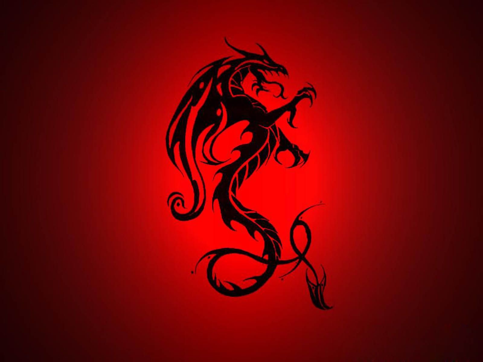 татуировка дракон фон на фоне