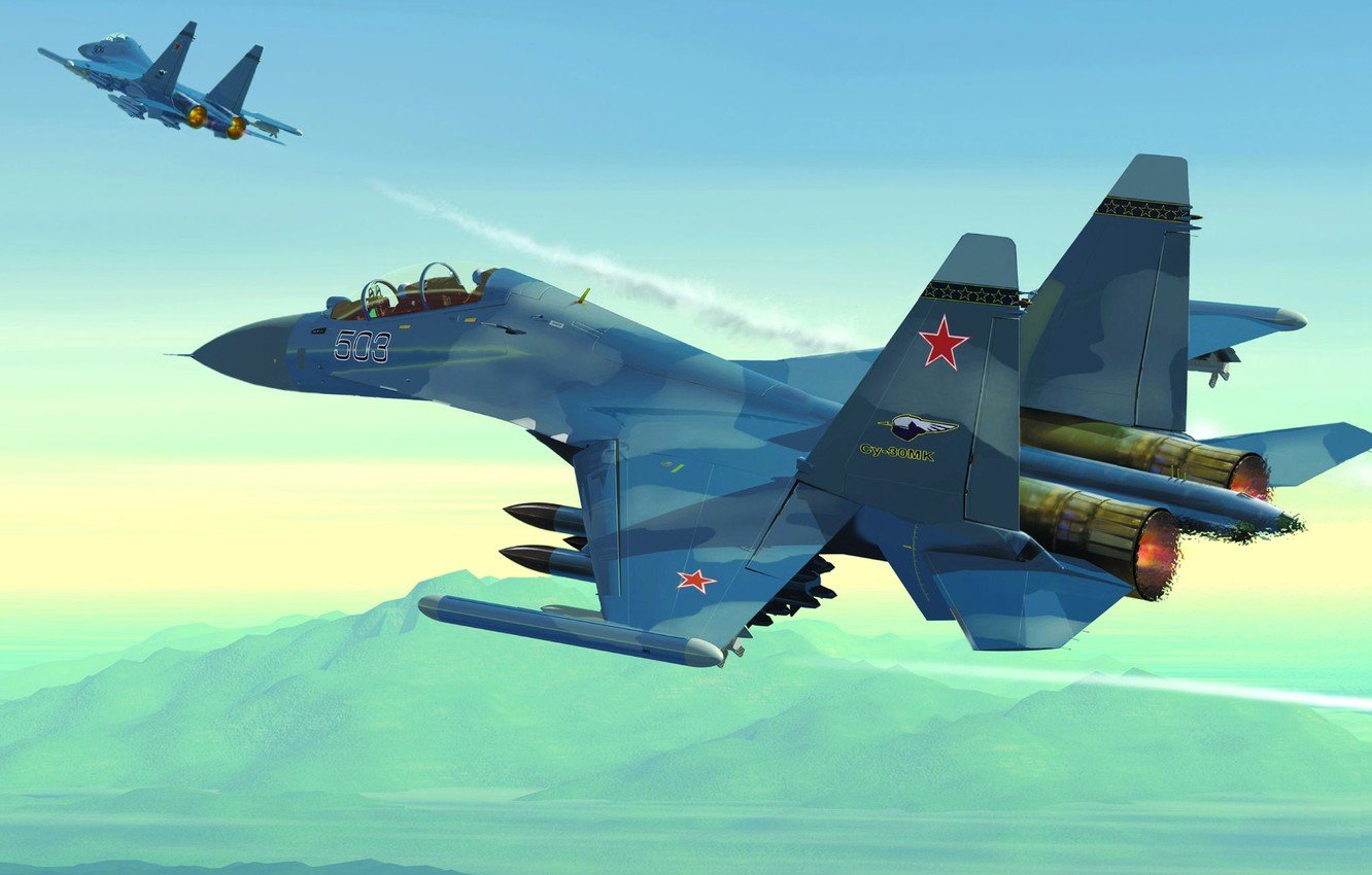 Су-30см арт