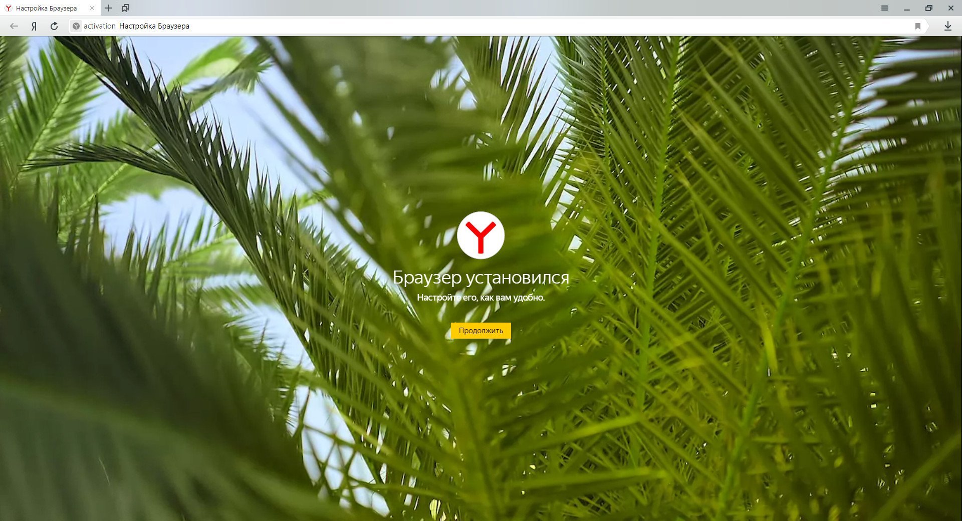 Заставки из Яндекс браузера