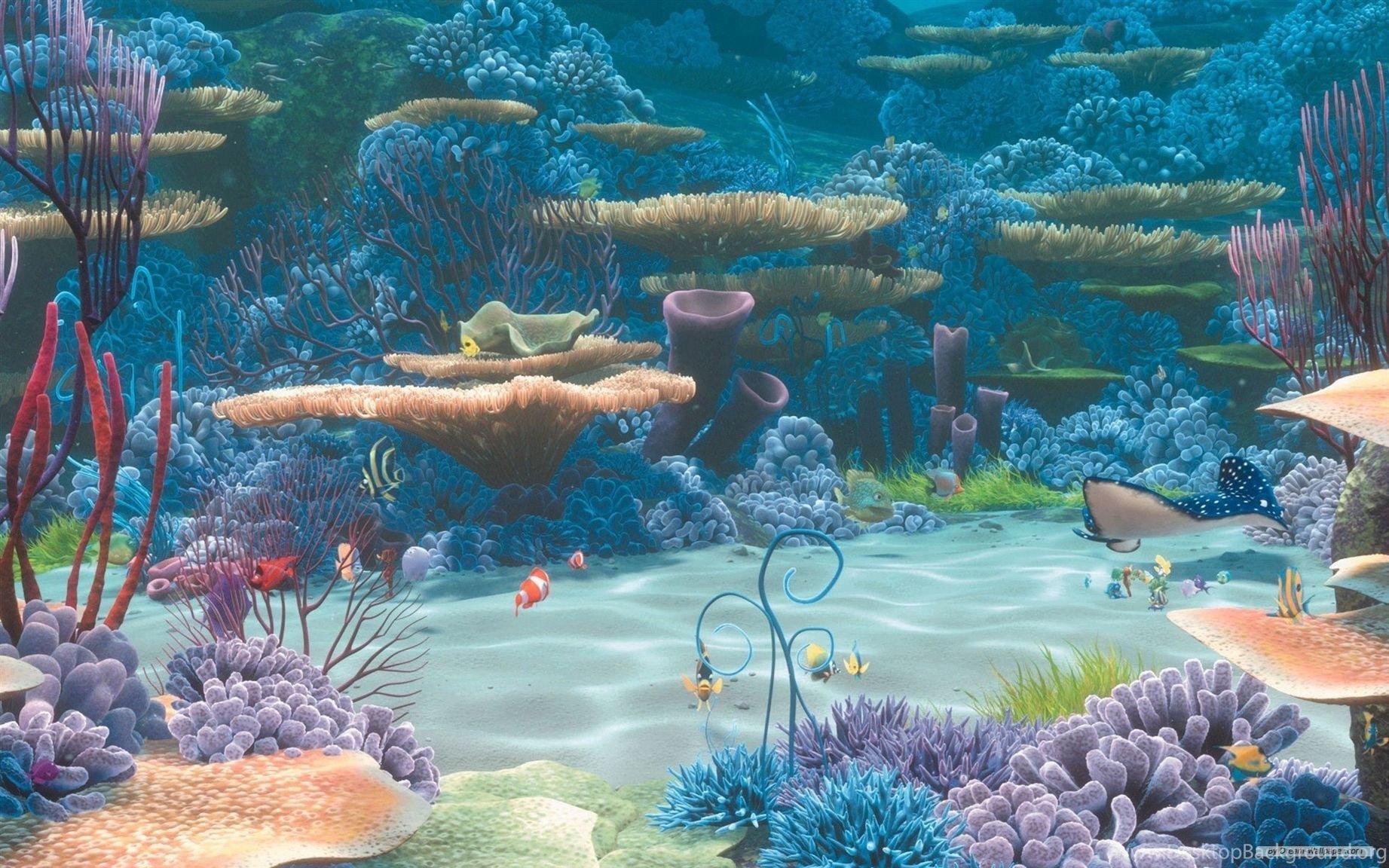 Немо подводный риф