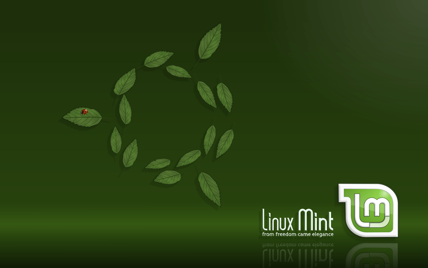 Обои Linux Mint 20