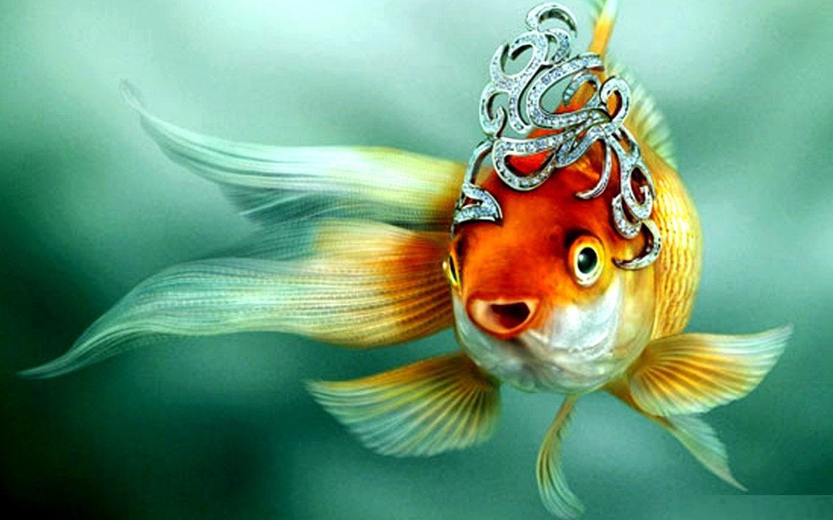 Золотая рыбка исполнение желаний