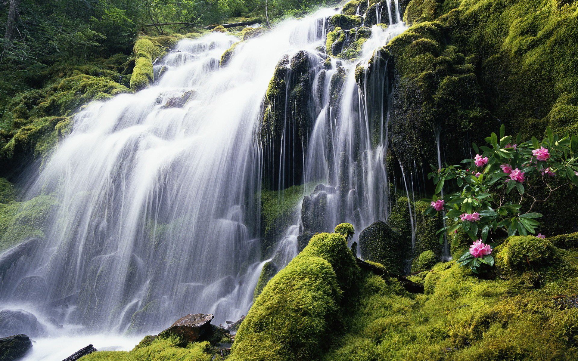 Сменить заставку на экране. Водопад Мосбрей, США. Водопад Сороа. Водопад прокси, Орегон. Красивая природа водопад.