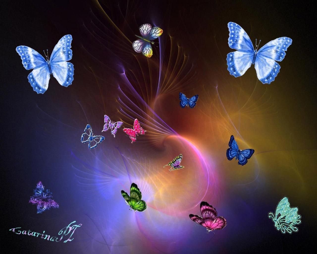 красивые картинки на телефон бабочки