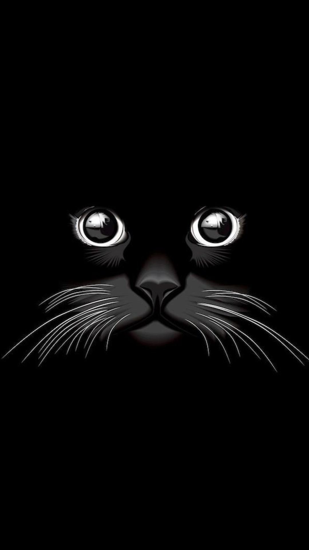 Кошачьи мордочки на черном фоне