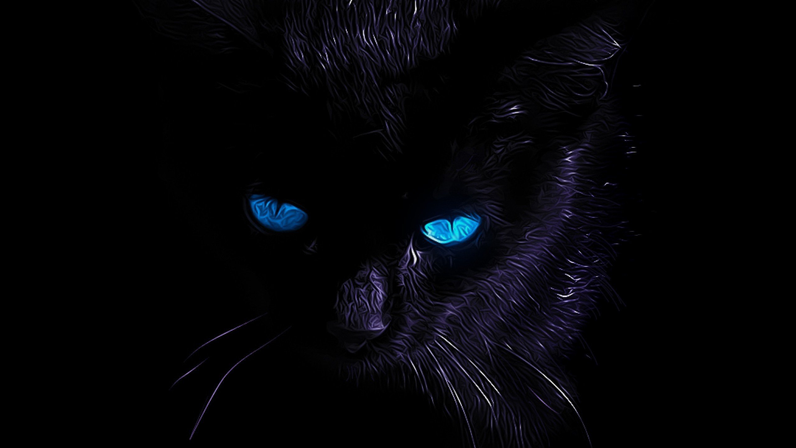 Черный кот на черном фоне