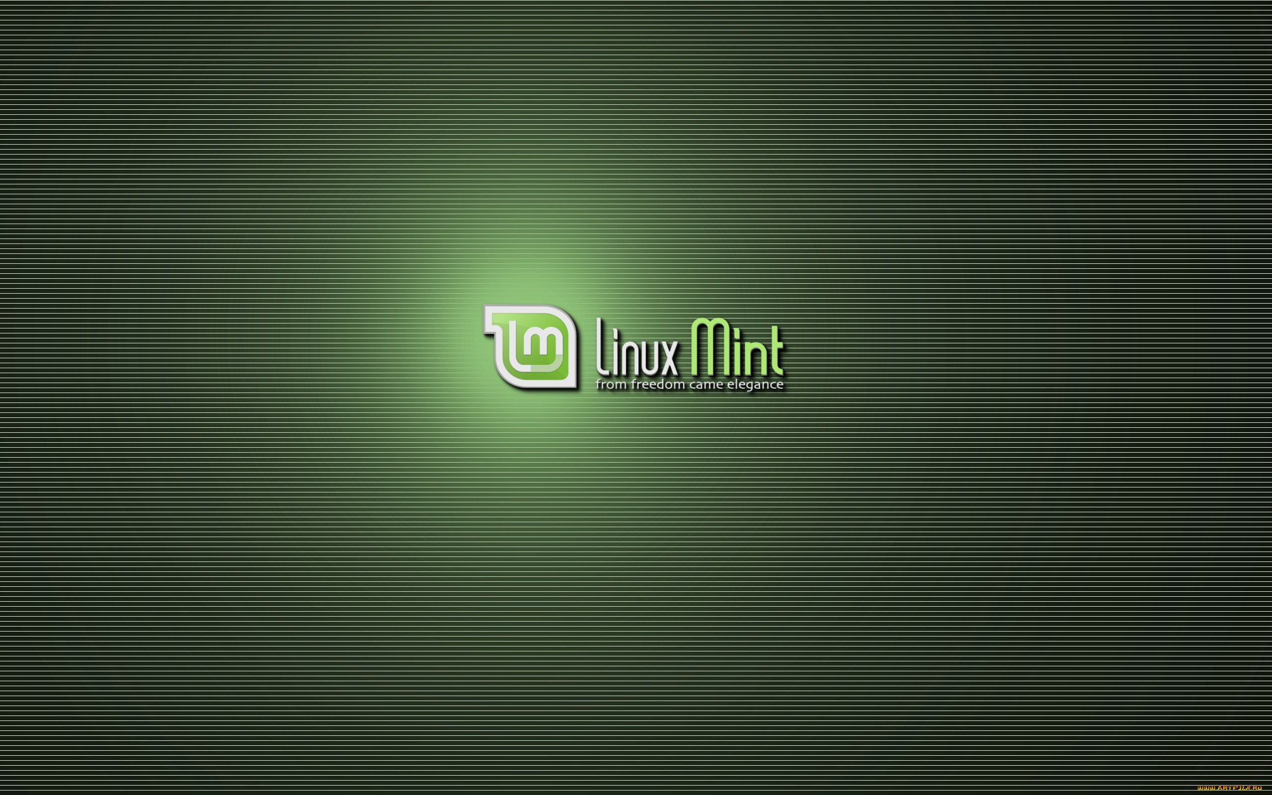 Linux mint gta 5 фото 7