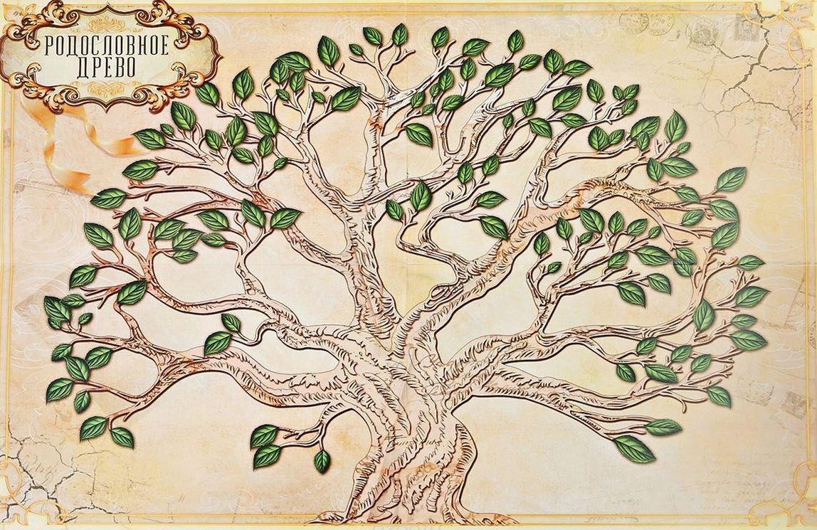 Родословная дерево Стародубовский