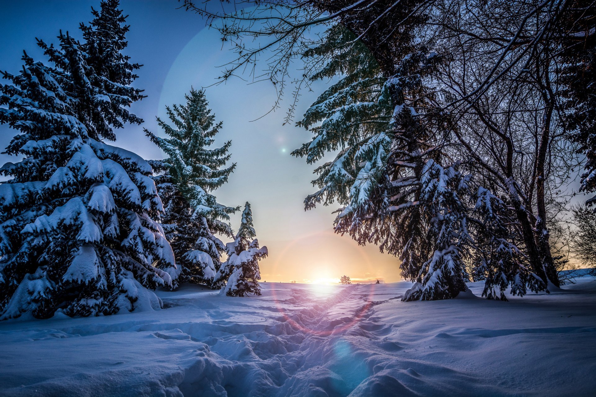 фото зимней природы