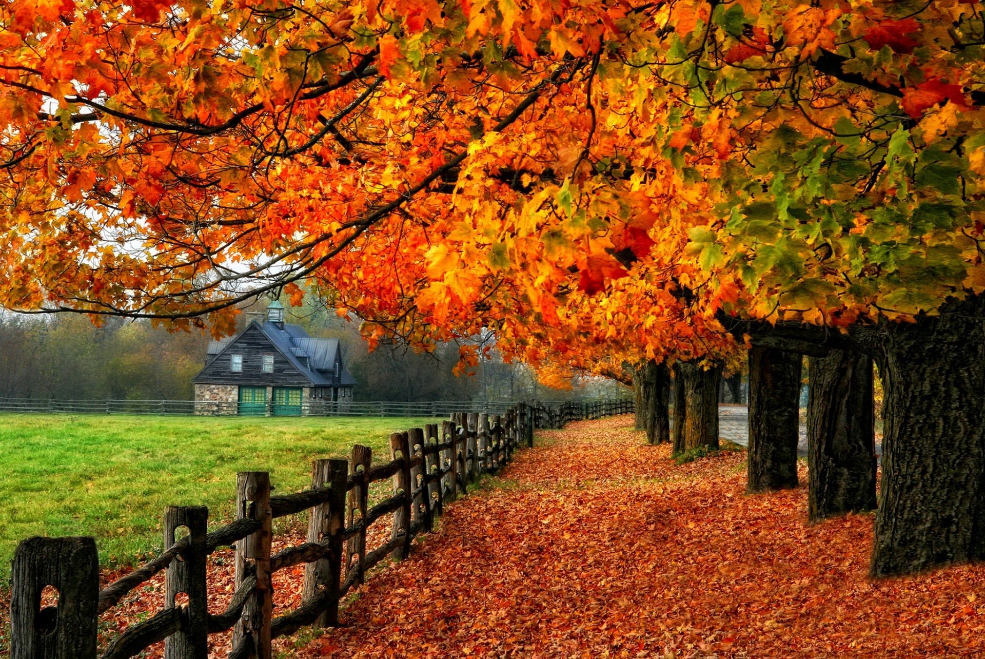 фото красивая осень в высоком качестве