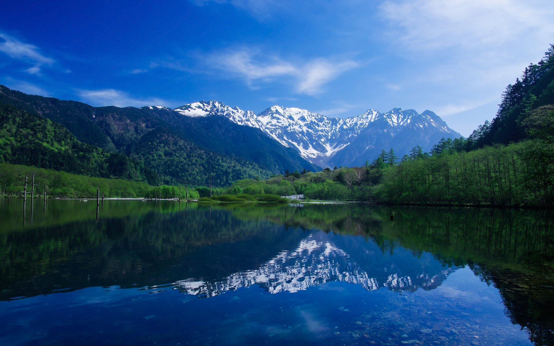 Абхазия горы лес река