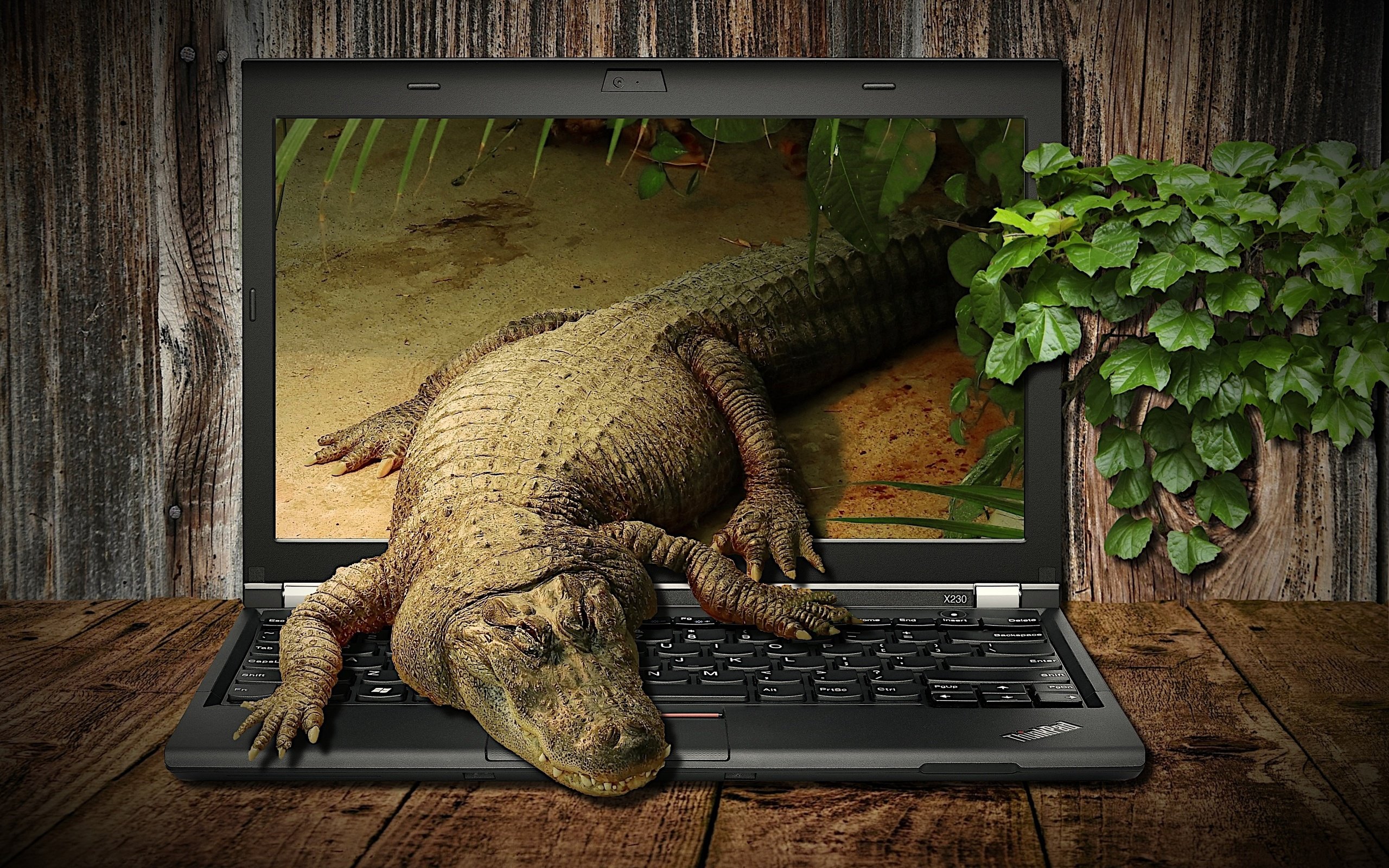Крокодил с компьютером