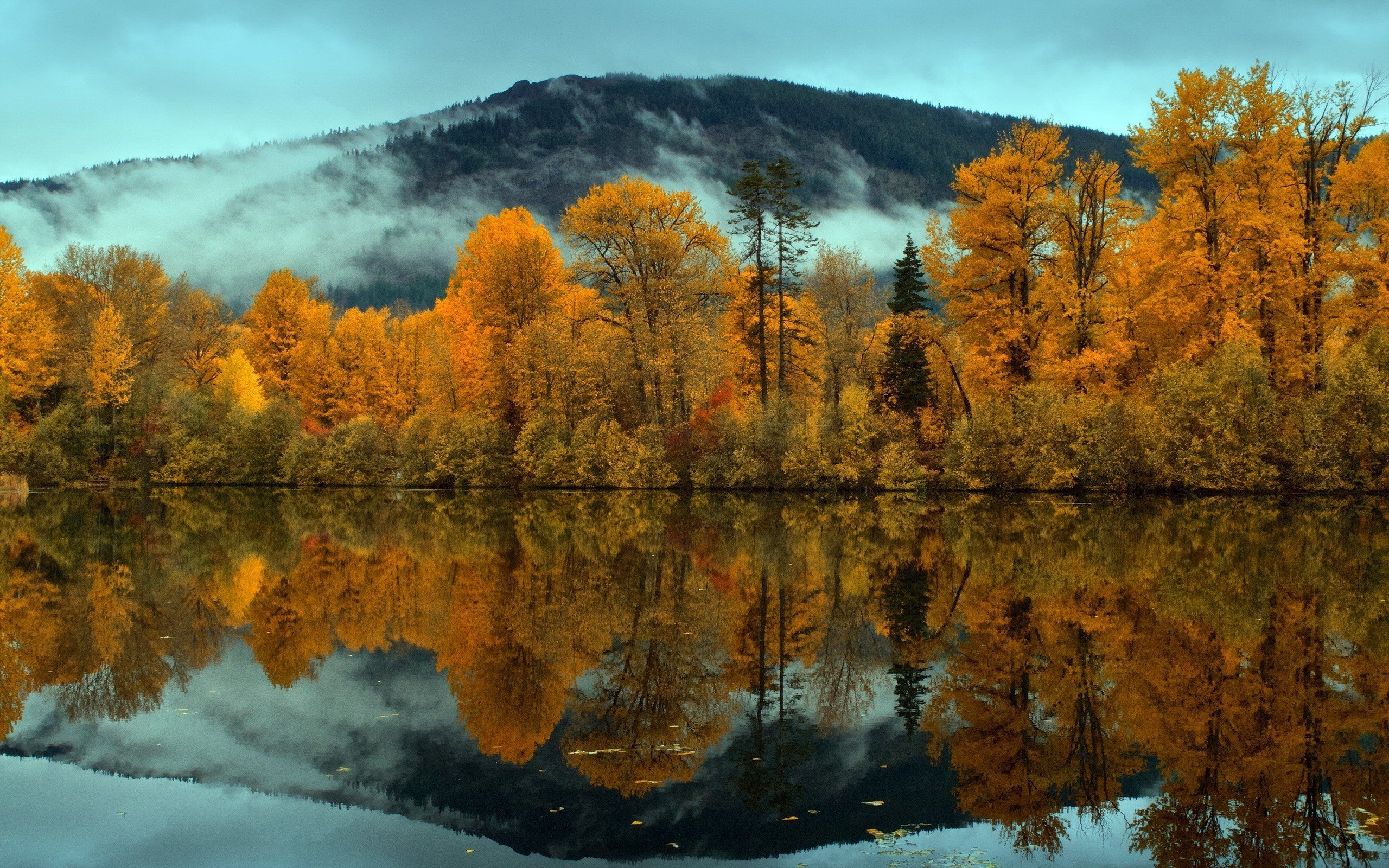 Осенний пейзаж. Осенний пейзаж на рабочий стол. Лучшие осенние пейзажи. Чудеса осенней природы.