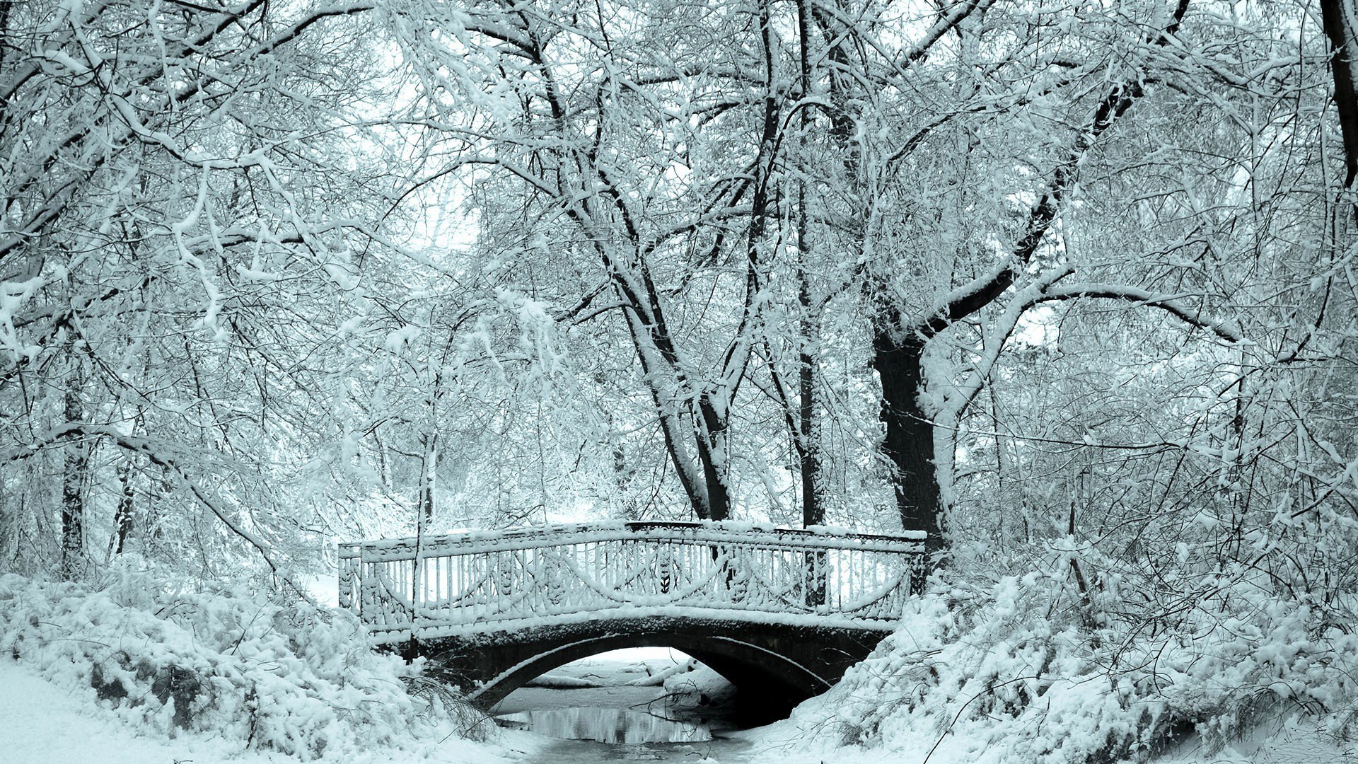 Красивый зимний пейзаж с мостом