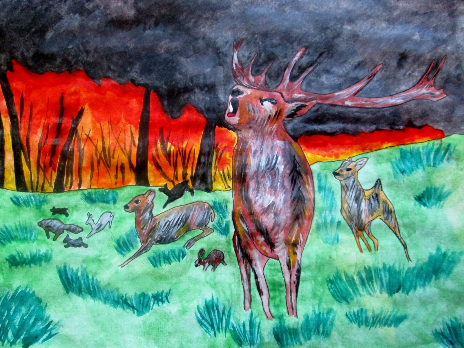Рисование пожар в лесу