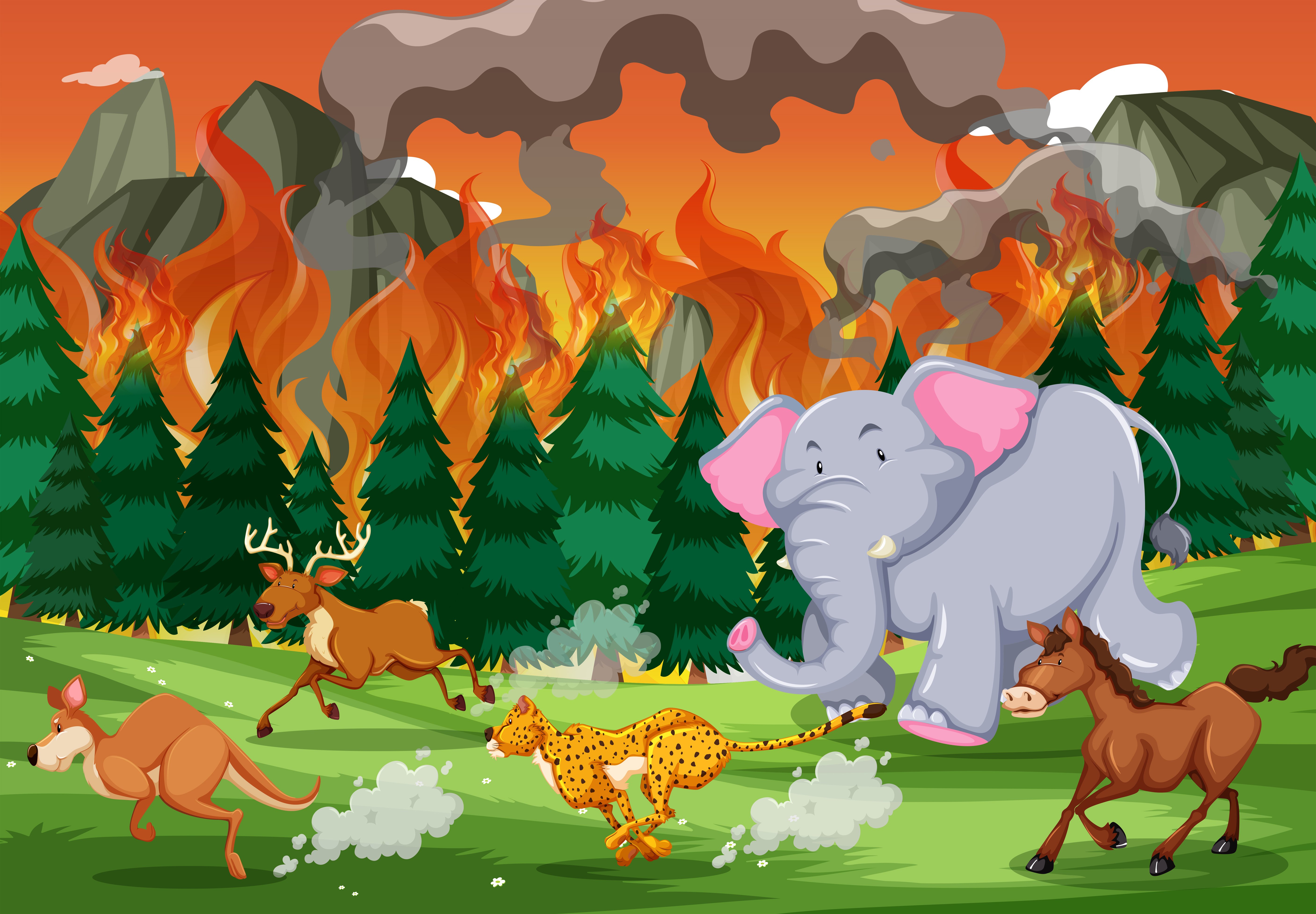 Животные убегают от пожара в лесу