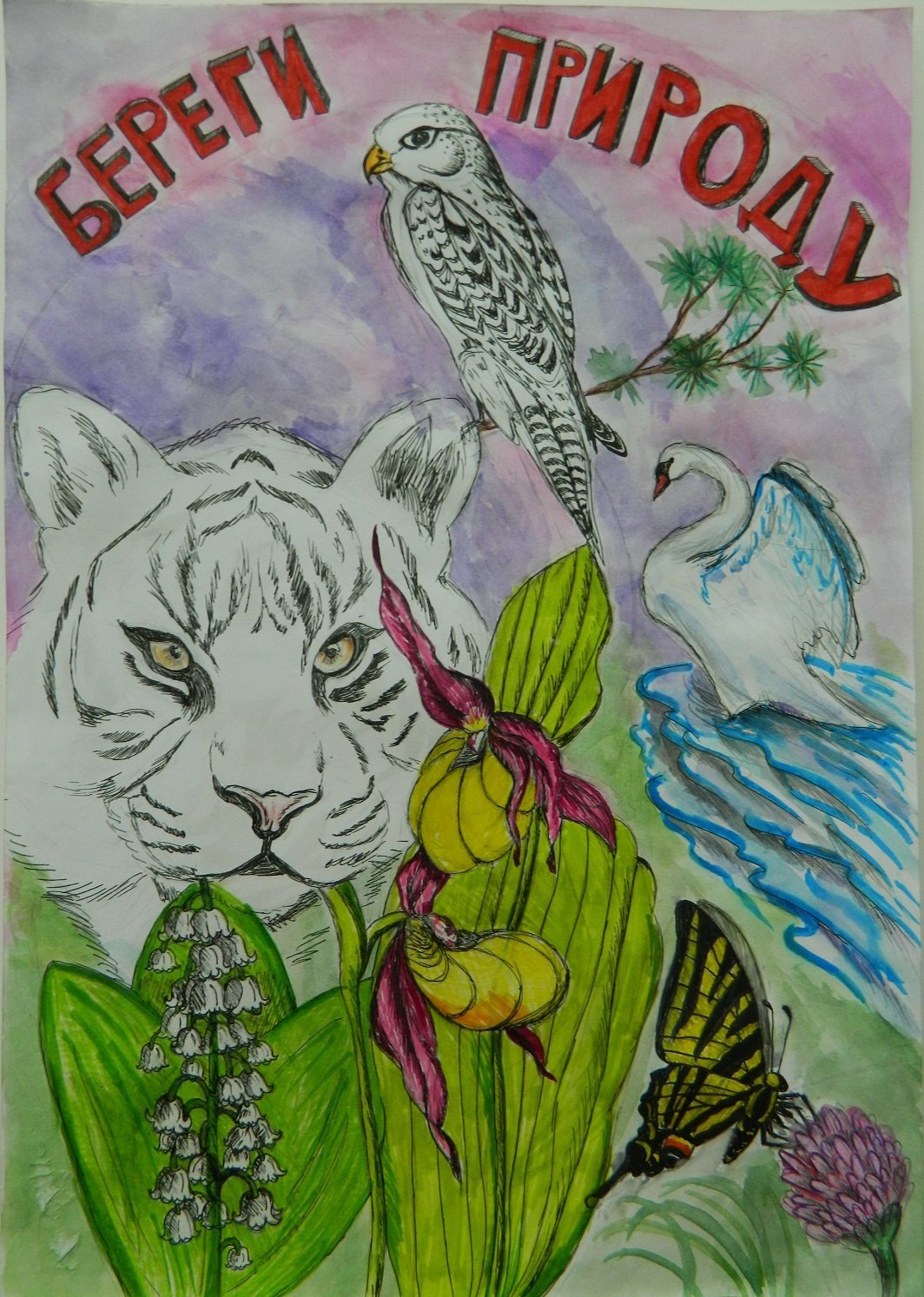 Рисунок на тему охраняемые растения и животные