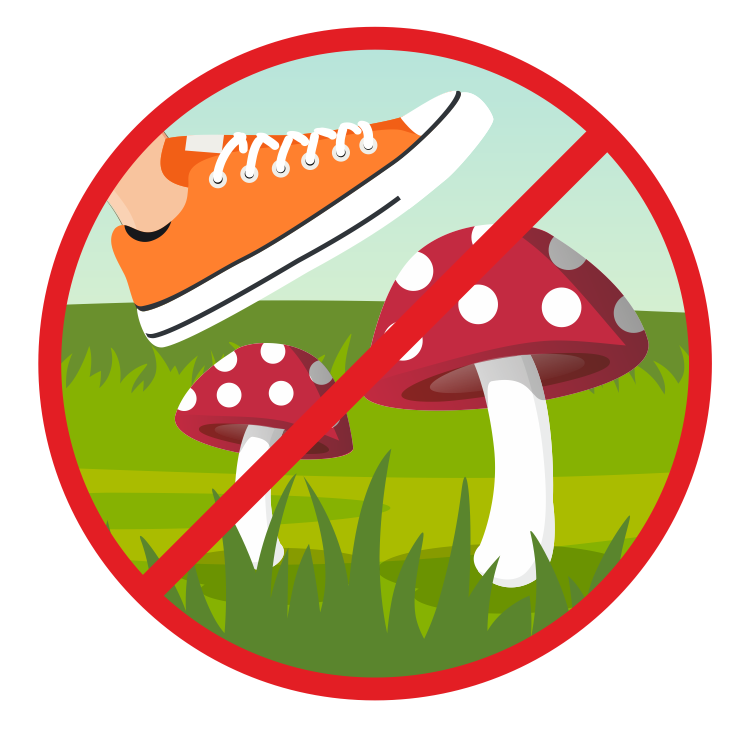 Знак нельзя собирать грибы. Экологические знаки. Знаки природы для детей. Экологические знаки для детей. Знаки природы для дошкольников.