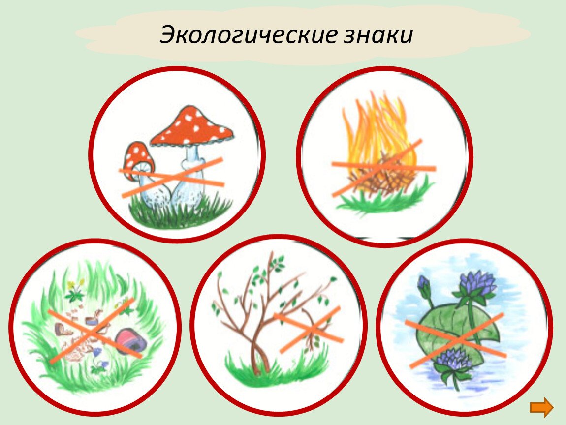 Рисунки экологической безопасности 3 класс окружающий мир. Экологические знаки. Экологические знакики. Природоохранные знаки.