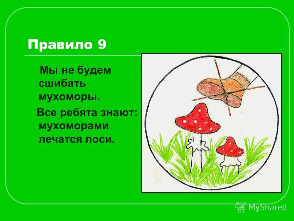 Знак нельзя собирать грибы. Экологический знак про мухомор. Экологический знак для грибов. Экологический знак про грибы. Не топчи мухоморы знаки.
