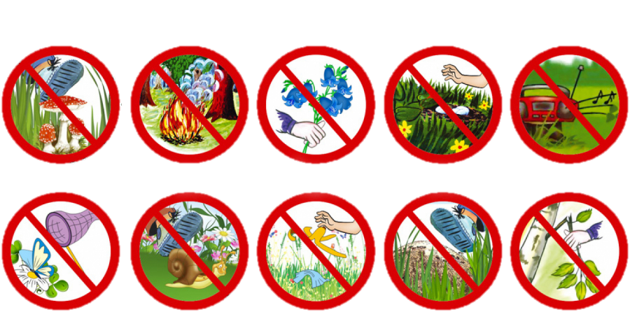 Экологические знаки. Знаки природы. Знаки защиты природы. Знаки поведения в природе. Природоохранные знаки для детей.