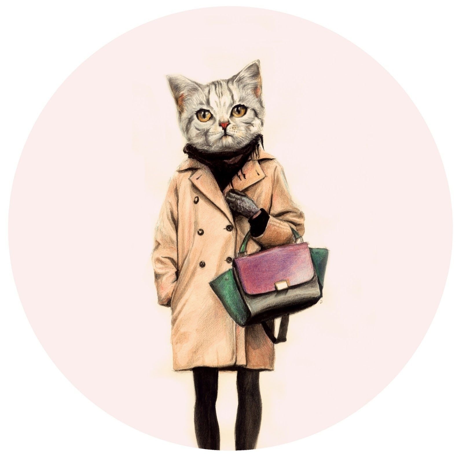 Стильная кошка. Кот в пальто. Одежда для кошек. Модные котики. Котики с одеждой.