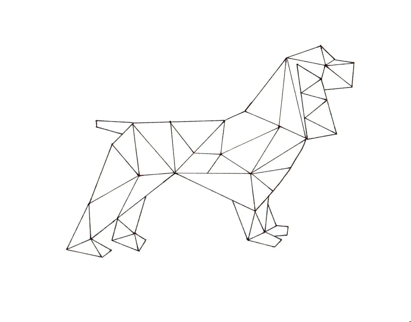 Геометрическая собака