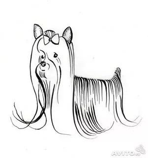 Йорк контурный рисунок