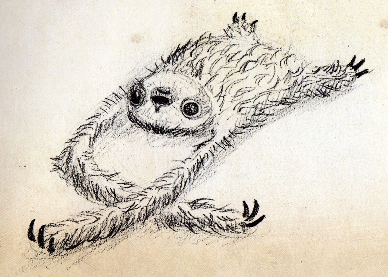 Ленивец карандашом