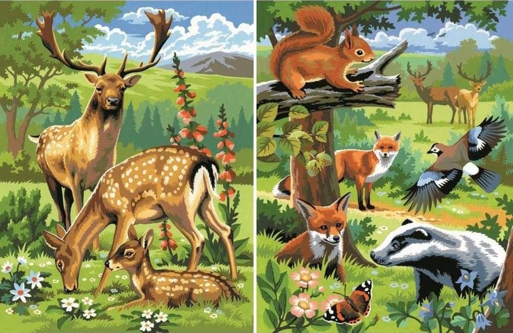 Лесные животные и насекомые. Обитатели леса для детей. Животные в лесу для детей. Лес с дикими животными. Лесные животные для детей.