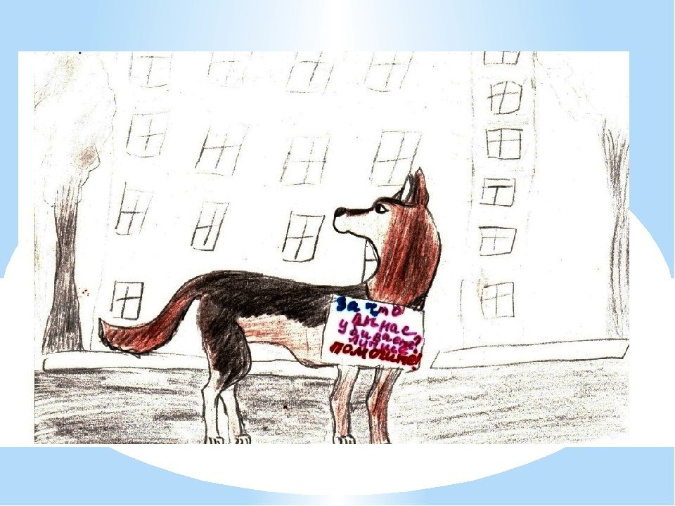 Сопереживание 4 класс. Рисунок на тему сопереживание. Рисунок на тему бездомные животные. Рисунок на тему сострадание. Рисунок на тему собака.