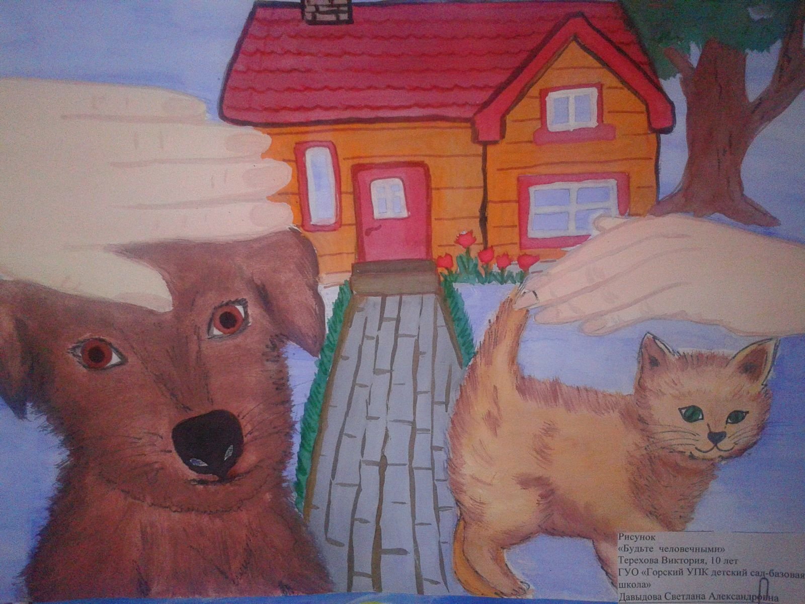 Детский рисунок приюта для животных