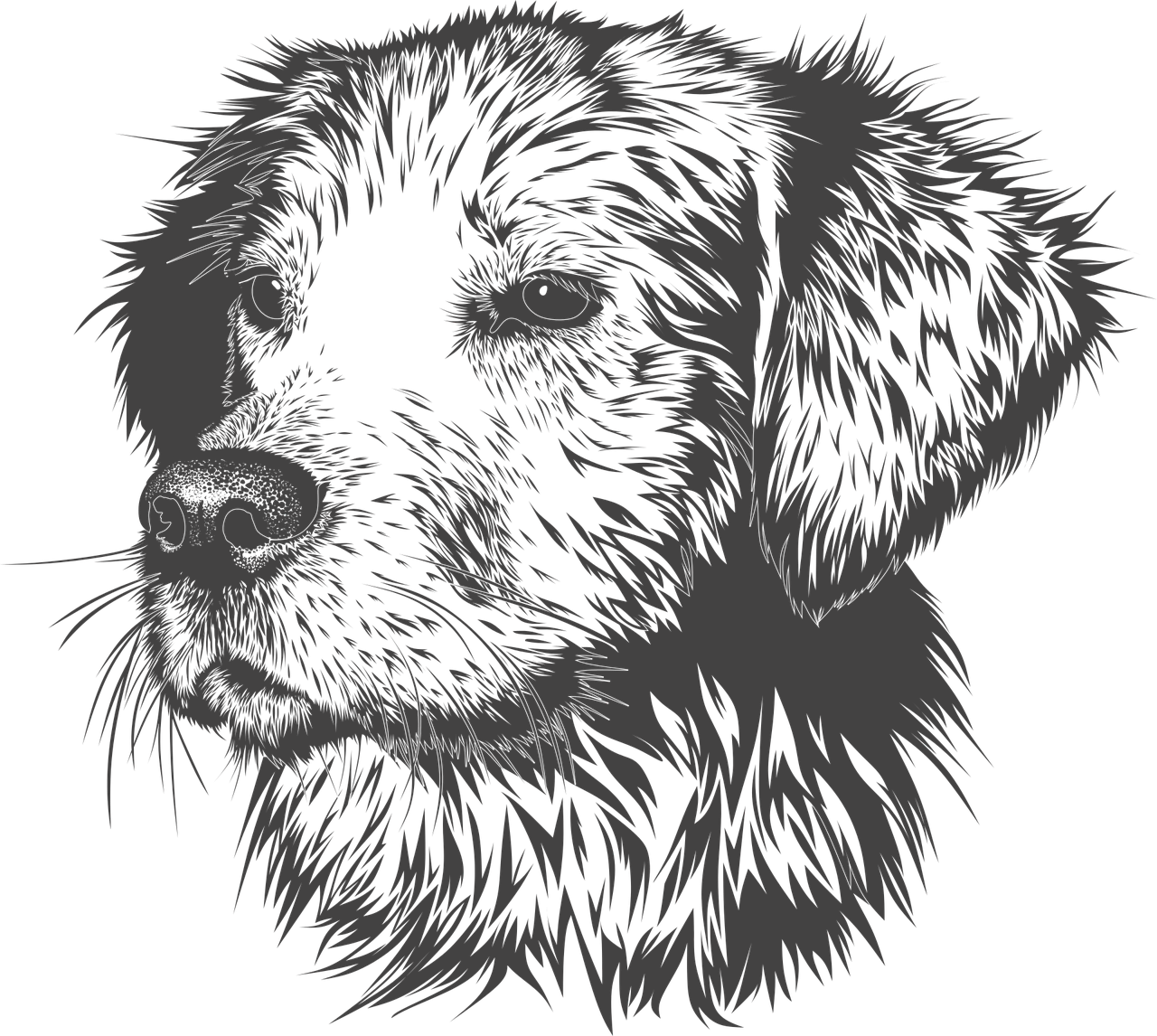 Рисунок собаки графика. Собака Графика. Векторный рисунок. Векторное изображение собаки. Щенок рисунок.