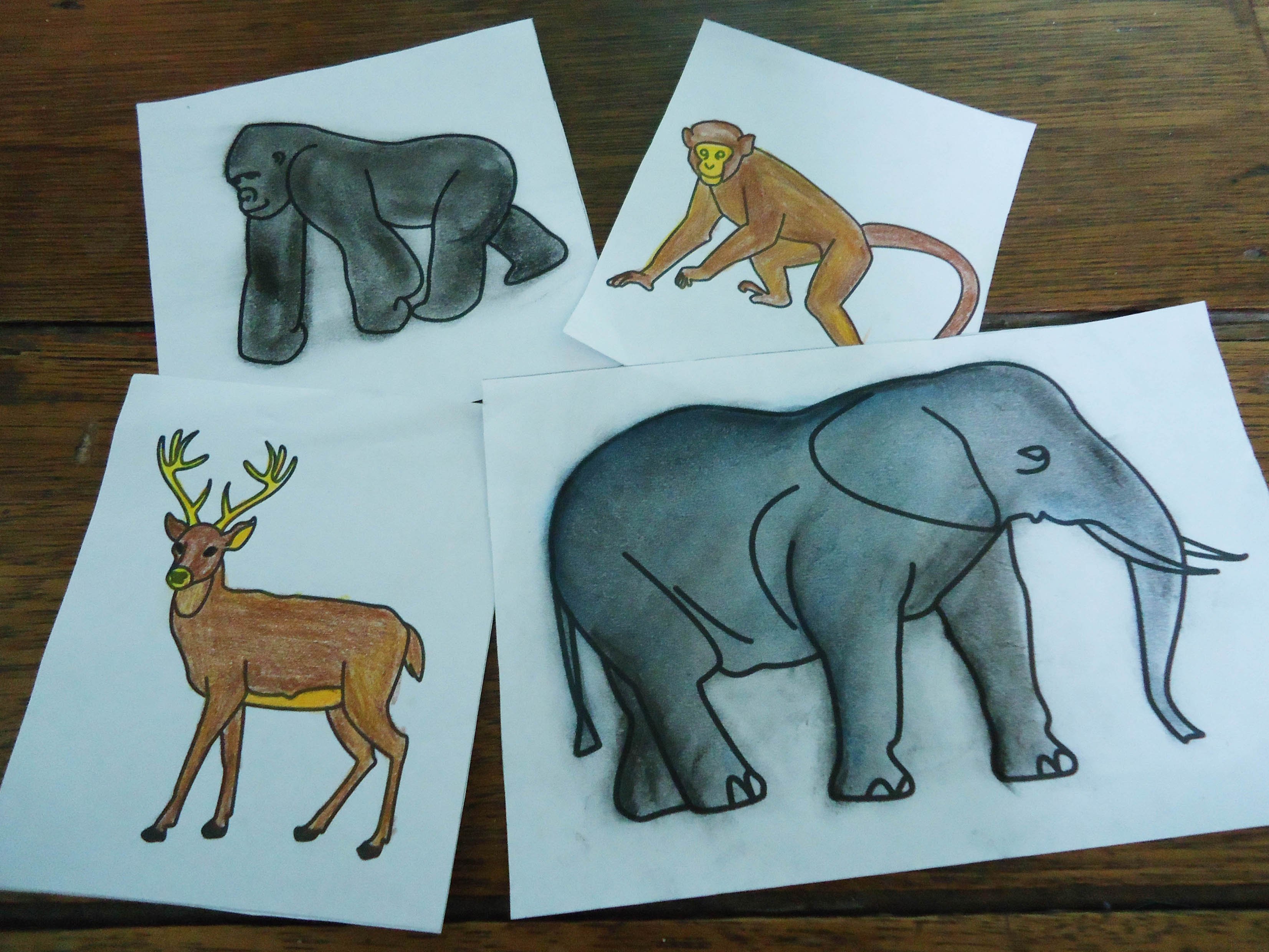 Животное рисунок 7 класс. Объемный рисунок животного. Объемные рисунки звери. Объемное рисование животных. Трехмерное рисование животных.