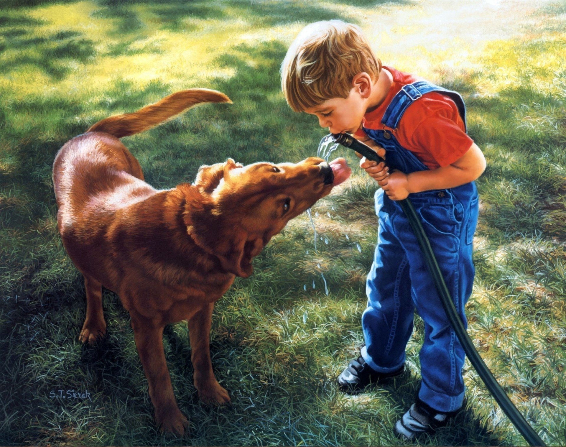 Рисунок домашние животные и человек
