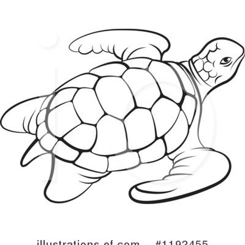Морская черепаха чб