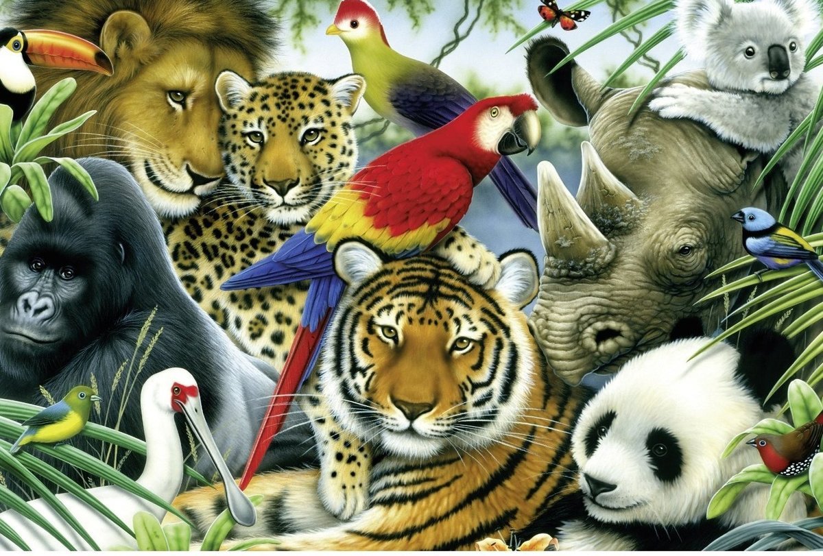 Животные джунглей