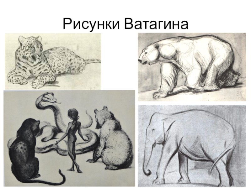 Изображение характера животных