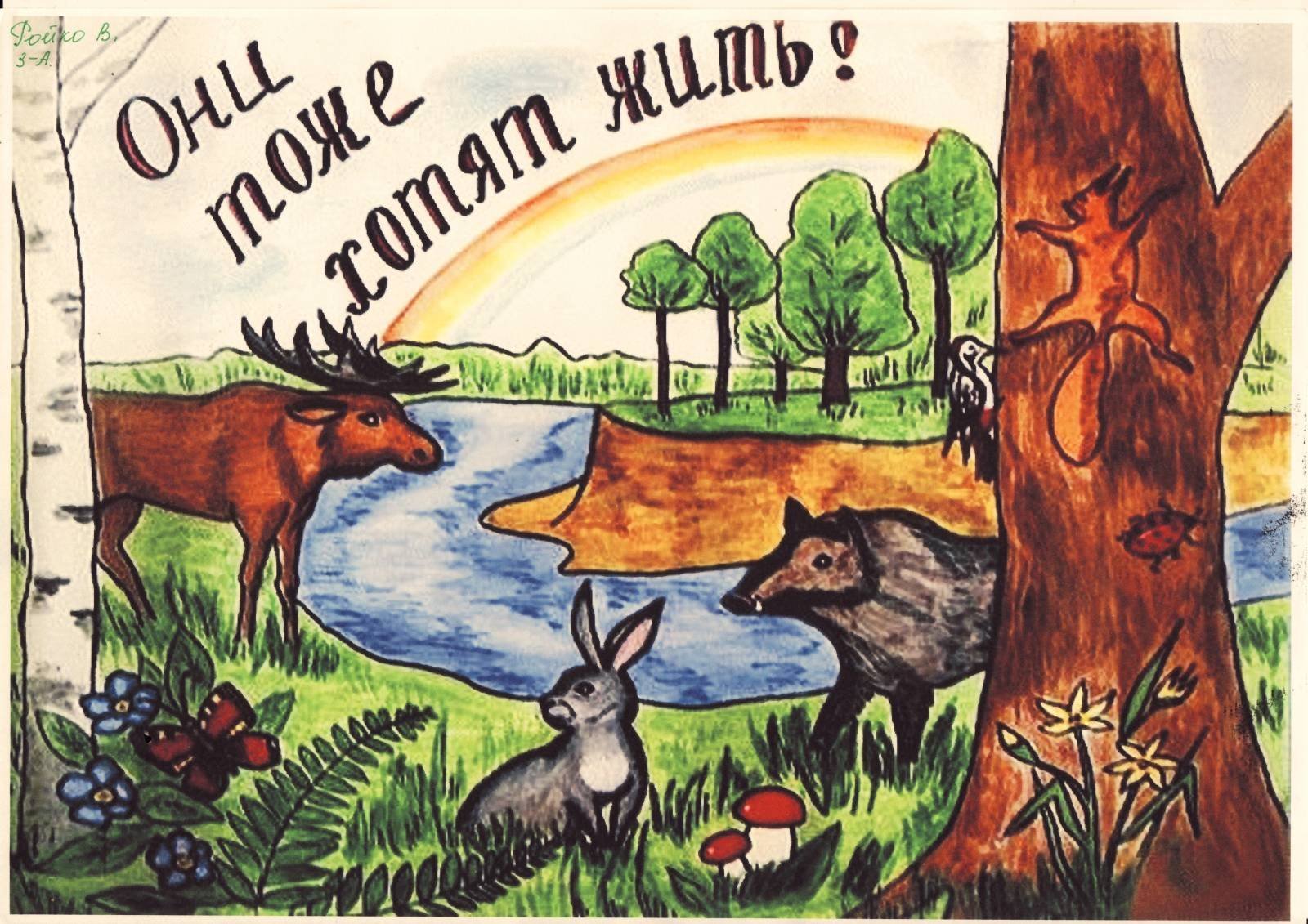 Плакат на тему охрана природы