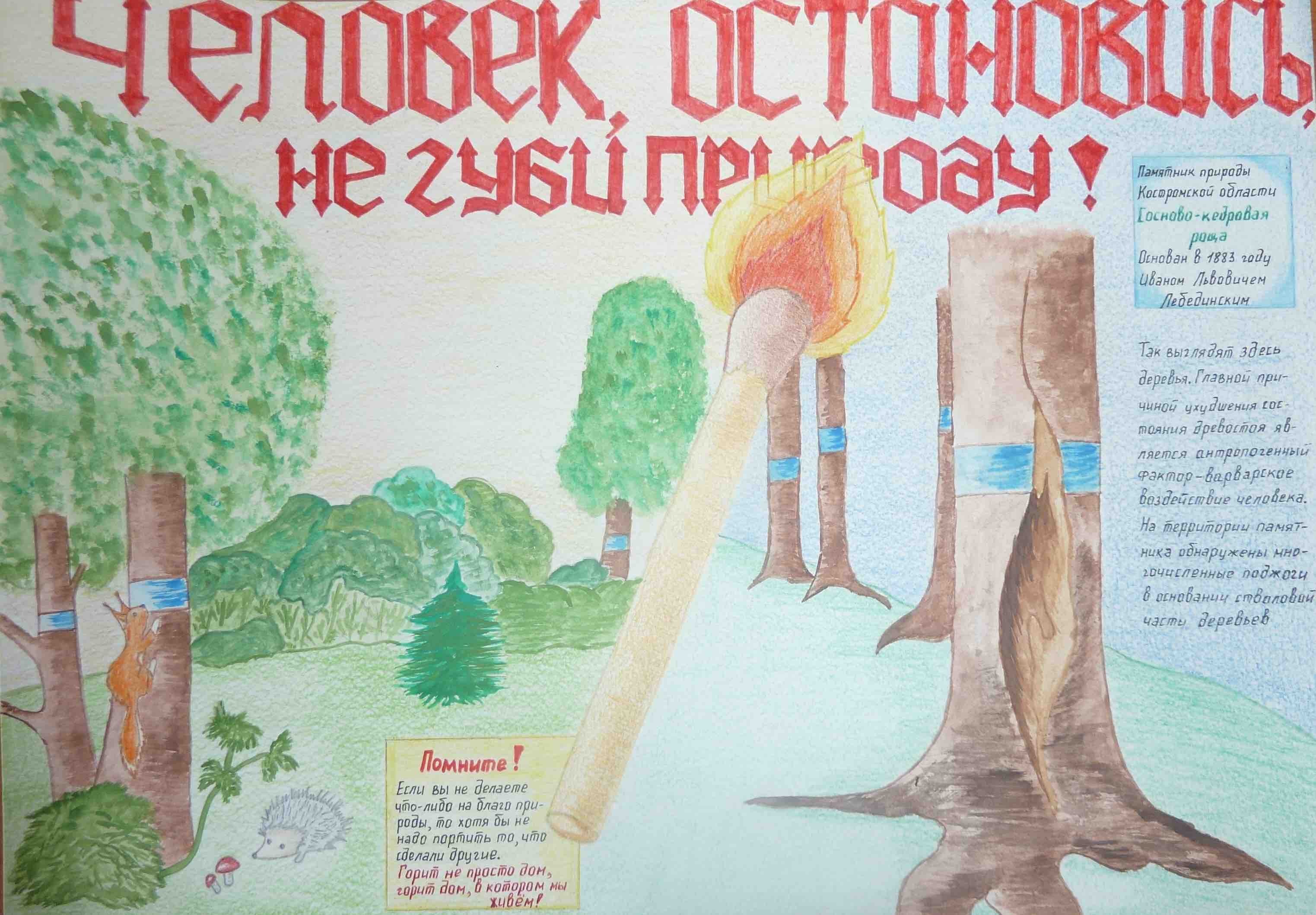 Плакат на тему охрана природы