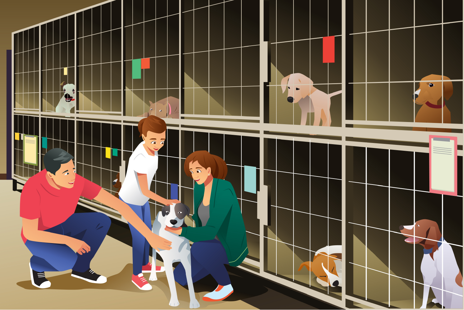 Some animals go to a shelter. Приют для животных рисунок. Изображение собак в приюте. Приют для животных мультяшный. Волонтер в приюте для животных иллюстрация.