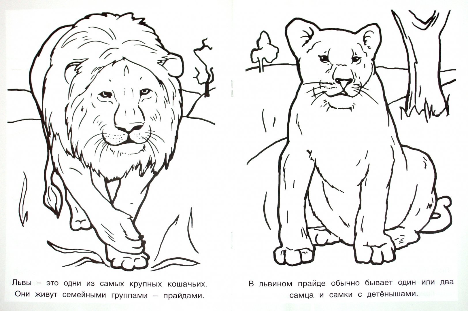 Животные красной книги России раскраска