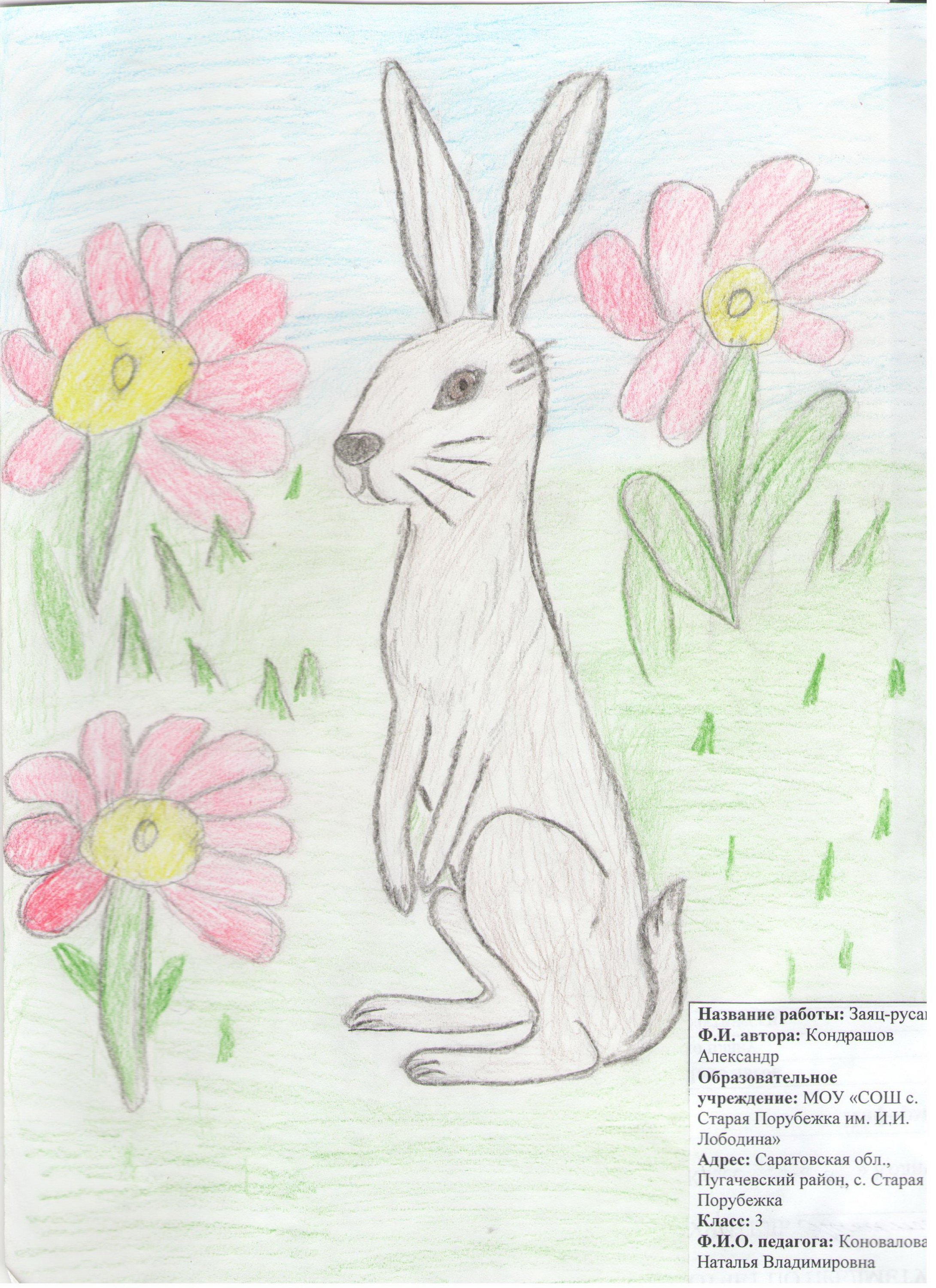Детские рисунки животных и растений
