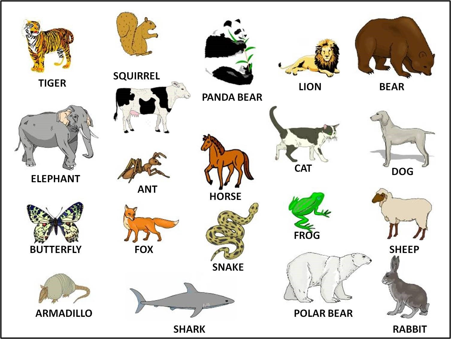 Английский язык слова животные