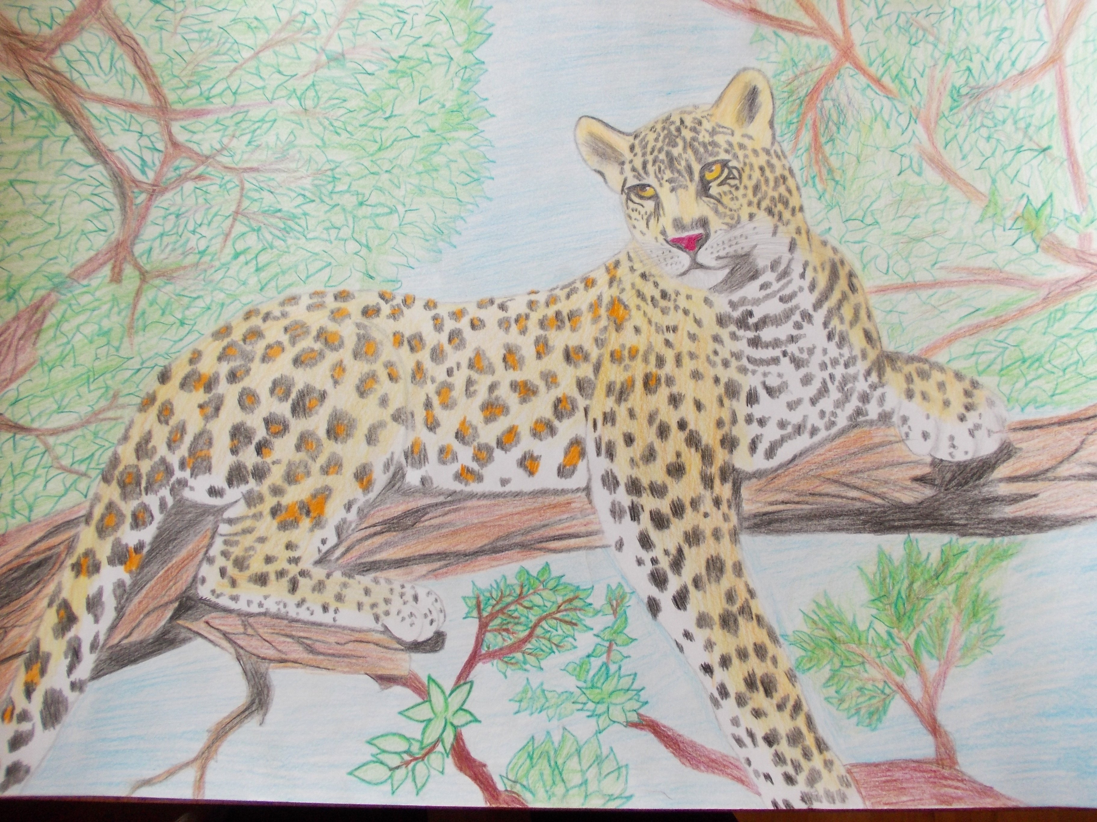 Амурский леопард карандашом