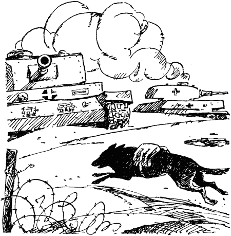 Животные в великой отечественной войне рисунок. Раскраска собаки на войне. Собака на войне рисунок детский.
