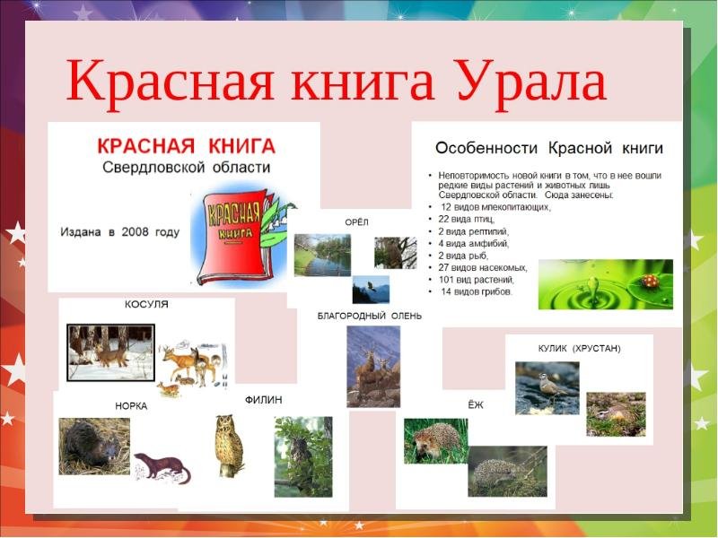 Флора и фауна челябинской области проект